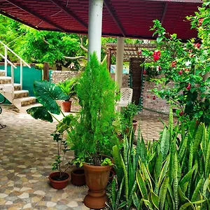 Vias Maya Bacalar