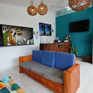 https://hostel-6-15.tulum-hotels.net